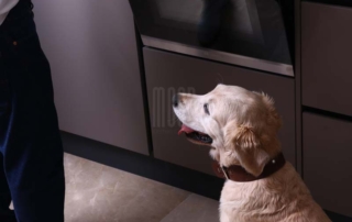 تصویر فر توکار